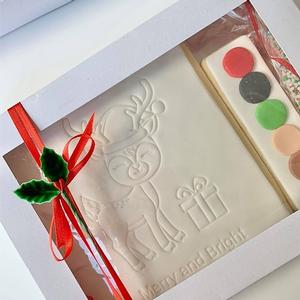X-mas Paint Your Own Cookie